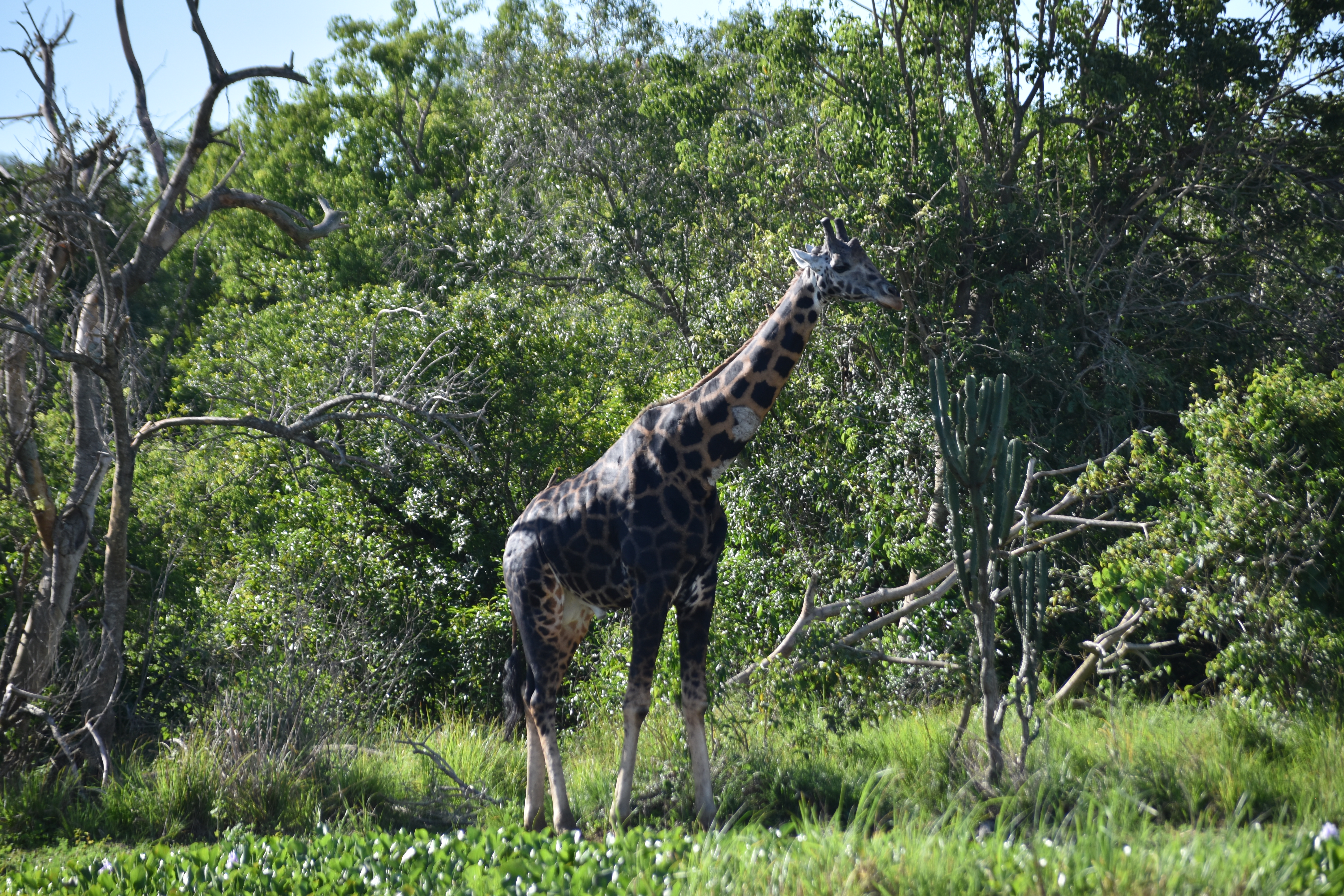 Kidepo Valley National Park