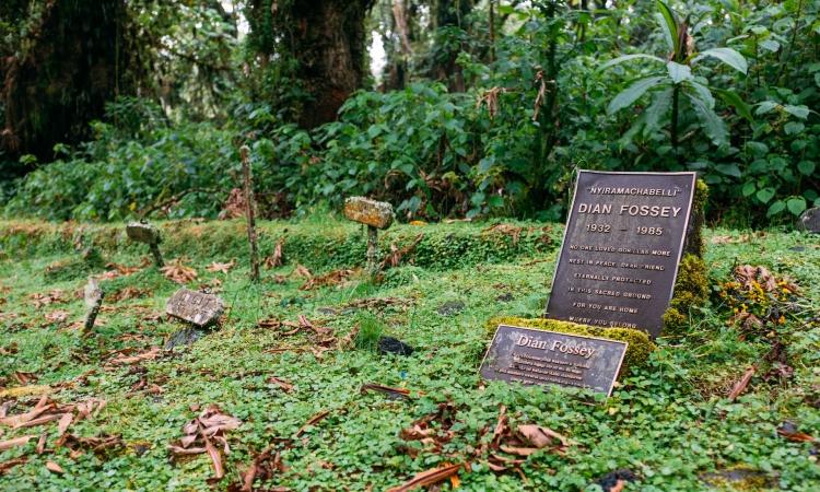 6-Day Rwanda Primates & Birds – The Land of a Thousand Hills
