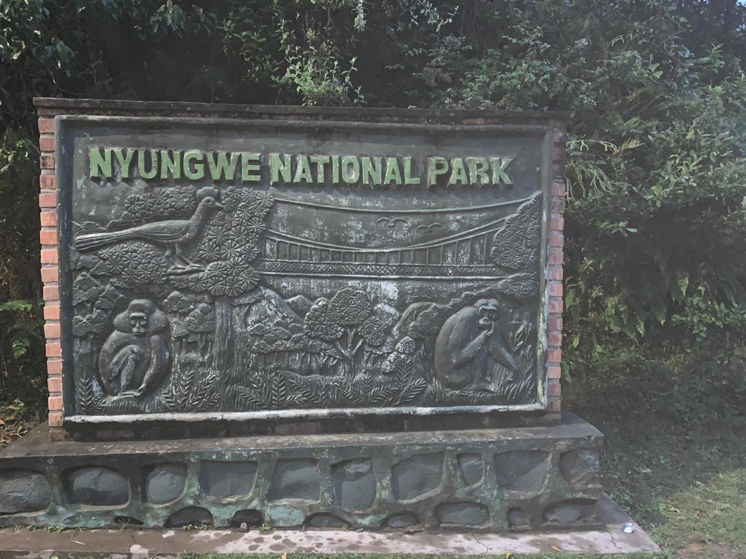 4-Day Nyungwe Forest & Lake Kivu – Rwanda's Scenic Escape