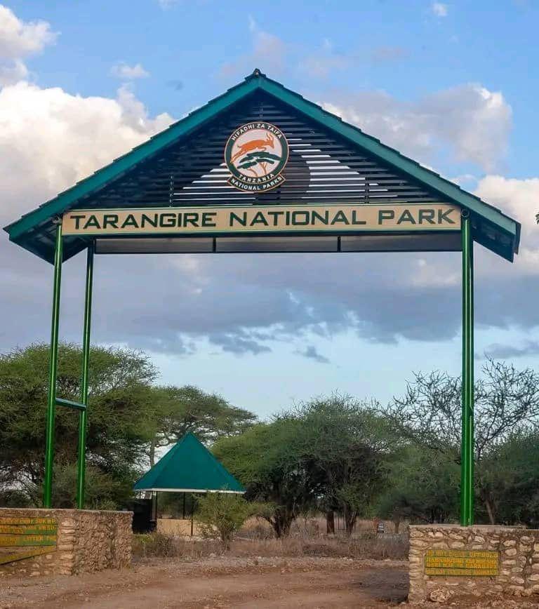3-Day Tarangire & Ngorongoro Crater Safari – Tanzania's Northern Circuit Highlights