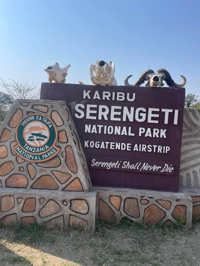 5-Day Lake Manyara, Serengeti & Ngorongoro Crater Safari – Tanzania's Ultimate Wildlife Circuit
